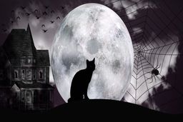 روانشناسی شخصیت | کله‌خرترین‌ها این افرادند !