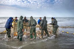 فوری، فعالیت‌های دریایی در خزر ممنوع شد