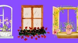 تست شخصیت‌شناسی ، یک پنجره را انتخاب کنید