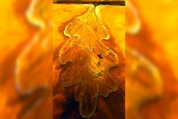 روانشناسی شخصیت | قدرتمندترین ویژگی‌ات را با یک کلیک بشناس !