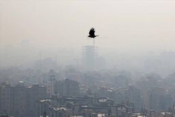 آلودگی هوای تهران قرمز هلویی شد! | حساس‌ها بیرون بیایید، خودتون می‌دونید