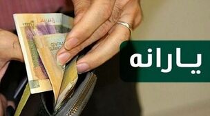 مرحله دوم یارانه کالابرگی 220/000 تومانی واریز شد | فعال‌سازی سهمیه‌ها از همین امروز 