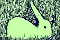 روانشناسی شخصیت | حیوون درون‌ات را بشناس !