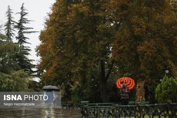 شمال کشور آخر هفته بارانی دارد