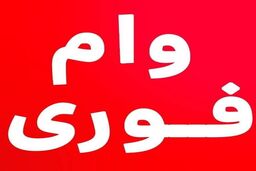 وام فوری 100 میلیونی دولت با بازپرداخت 3 ساله | وام فوری با شرایط آسان برای همه