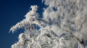 یخبندان حاد در 7 استان !