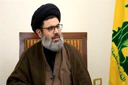بیوگرافی سیدهاشم صفی الدین