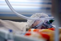 فوری/ 36 نفر از دانشجویان دانشگاه فرهنگیان مسموم شدند