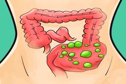 تأثیرات جادویی مدفوع روی مغز !
