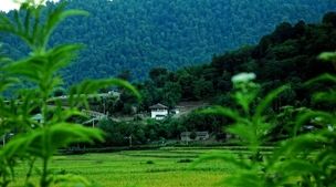 خطر در کمین گیلانی ها | گیلان در آماده‌باش 