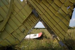 سقوط هواپیمای مسافربری | تمام سرنشنان کشته شدند+ویدئو