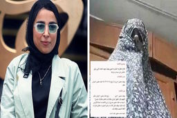 حکم زینب موسوی صادر شد؟